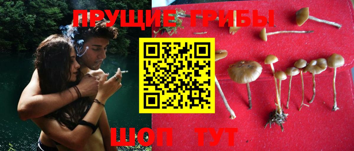 Ижевск  наркота  Вход с VPN  Галлюциногенные грибы мицелий 